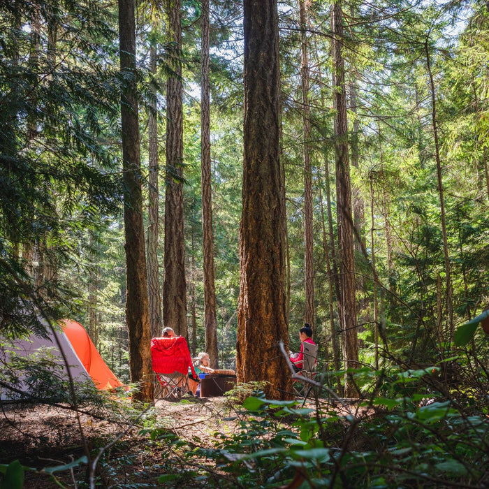 The Joy of Family Camping: Creating Lasting memories in the Great Outdoors