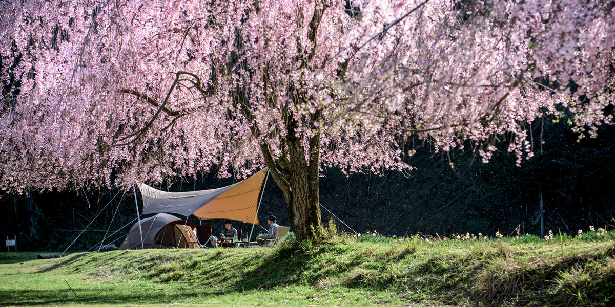 5 Reasons why Camping in the Spring is Awesome — PJ Outdoors