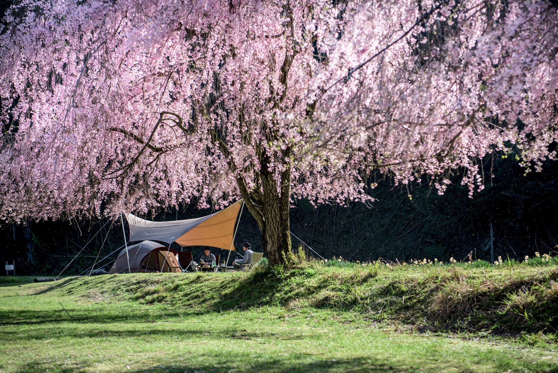 5 Reasons why Camping in the Spring is Awesome