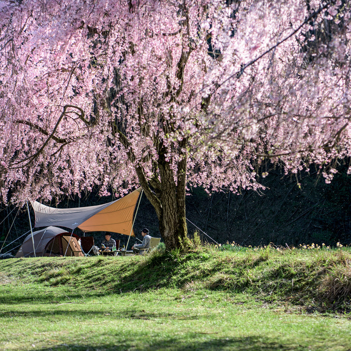 5 Reasons why Camping in the Spring is Awesome