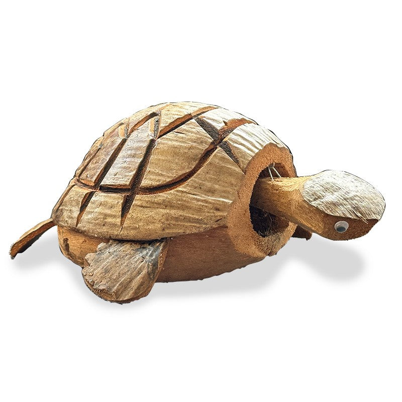 Quest Coconut Nodding Turtle — PJ Outdoors